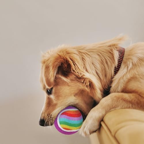 EXPAWLORER Squeaky Tennis Balls for Dogs-12 Pack High Elastic Dog Toy Balls