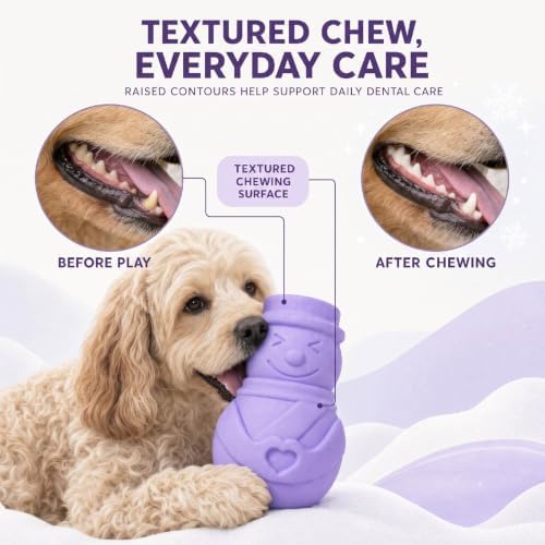 Dog Toys, Biodegradable Treat Dispensing Dog Toys, Dog Toys for Medium Dogs