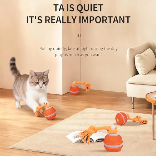 2 Pack Interactive Dog & Cat Ball, Auto Chirping, Rechargeable, Self Play