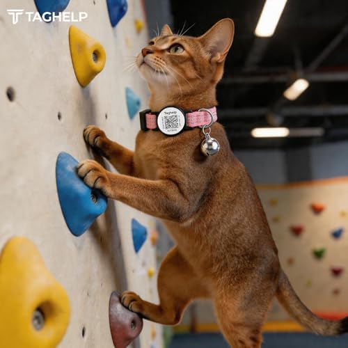 Reflective Cat Collar Personalized with Name ID Tag and Bell. QR Code Name Tag, Cat Smart ID Tag Breakaway.Ultra-Durable, Adjustable, Quick Release, Fits Most Cats (Pink)