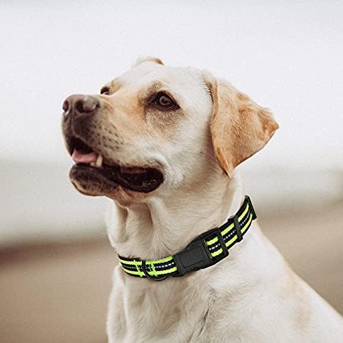 Mile High Life Reflective Dog Collar, Adjustable Lightweight Quick Release