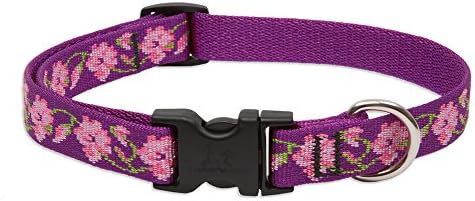 LupinePet Originals 3/4" Rose Garden 15-25" Adjustable Collar for Large Dogs