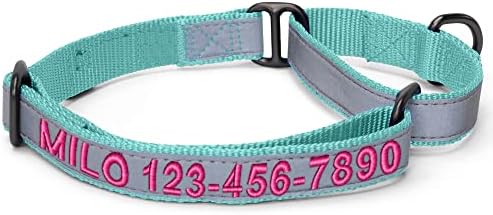 Pawtitas Customized Martingale Dog Collar Reflective Reflective Dog Collar Embroidered Personalized Name Phone Number Adjustable for Puppies Small Medium Large Size Dogs Large Teal