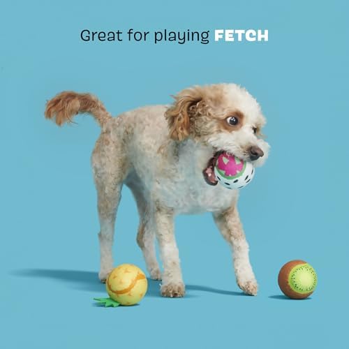 BarkBox Tropicatch Fruit Dog Toy - 3-Pack - Toy for Small to Medium Dogs
