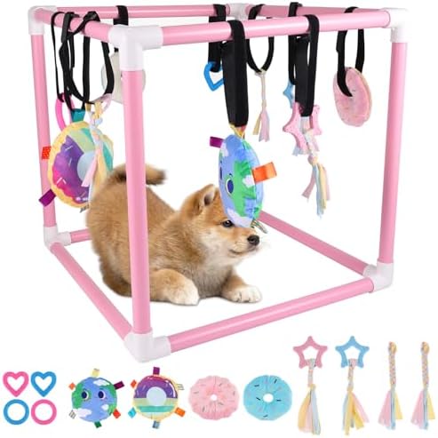 Puppy Play Gym with 10 Hanging Toys for Small Dogs Indoor Jungle Playground PVC Frame with Interactive Funny Enrichment Toys Dogs Activity Center Durable, Lightweight