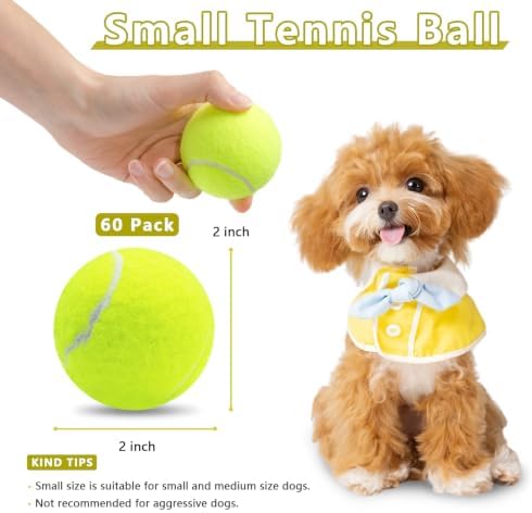 Magicorange Small Tennis Balls, 60 Pack 2 inch Tennis Balls for Dogs