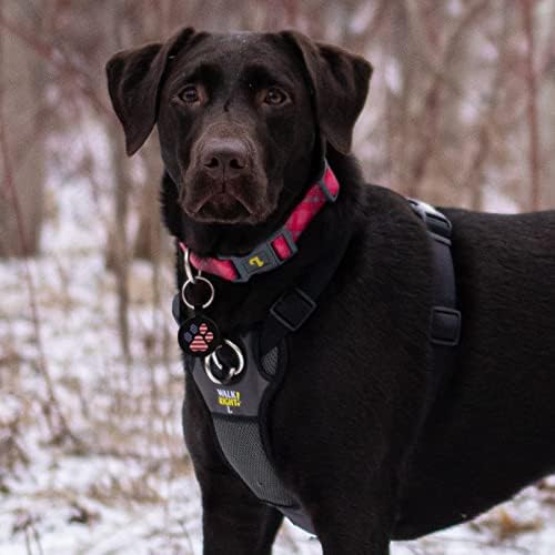 MYLUCKYTAG QR Code Dog Tags - Scan for Instant Pet Location Alert Email