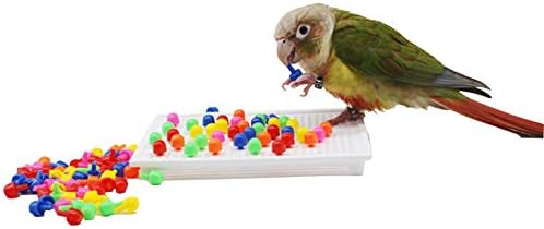 QBLEEV Parrot Puzzle Toys for Parakeets, Cockatiel & Conure - Bird Intelligence Training & Foraging Toys
