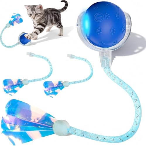 Rocfish Durable Interactive Cat Toys for Indoor Cats (blue03, 03)
