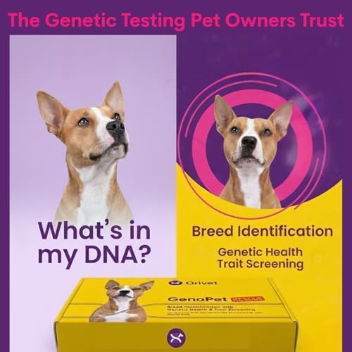ORIVET GenoPet Rescue Dog DNA Test, Breed ID, Health, Easy At-Home Swab Kit | Results in 3-5 Weeks