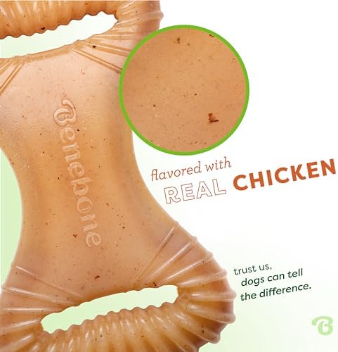 Benebone Dental Dog Chew Toy for Aggressive Chewers, Real Chicken, Small