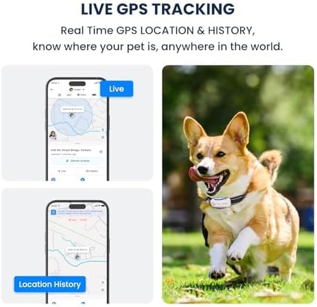 DBDD GPS Dog Tracker with Subscription,Virtual Fence&Health Monitor,IP67,WH