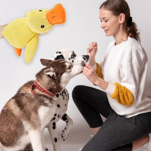 Plush Squeaky Dog Toy for Aggressive Chewers, Interactive Toy for Anxiety