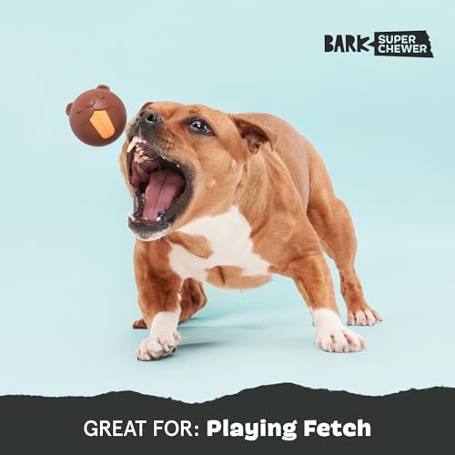 BarkBox Ricochet The Nutria Dog Toy
