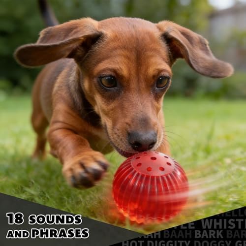 Pet Qwerks Blinky Babble Ball - Flashing Interactive Chew Dog Toy - Small