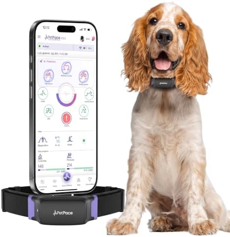 V3.0 Dog Health Monitor – AI Health Collar with 24/7 Vital Signs Tracks Pain GPS, Telehealth AskaVet & Share with Your Vet & Apple Watch Sync – Subscription Required (Medium)