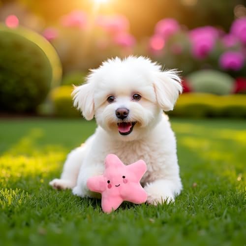 Dog Toys for Small Dogs,Starfish Squeaky Toy, Soft Plush Vocal Dog Plaything Pets Supplies, Squeaky Toys/Chew Toys for Medium Large Dog, Squeak Toys, Pet Toys