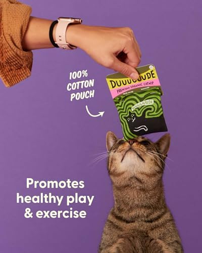 Blue Q Catnip - Cute Cat Toys for Biting w/Funny Graphics - Duuuuuuuude