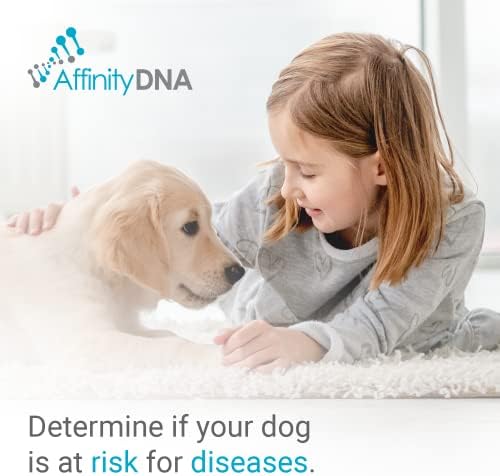 Dog Uric Acid DNA Test for Hyperuricosuria | Home Sample Collection Kit for 1 Canine | Dogs Uric Acid Testing | Results in 10-15 Working Days | A Complete Kit with No Extra Fees
