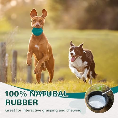 Squeaky Turtle Dog Toy, Treat Dispensing Rubber Ball, Bite Resistant Plush Chew Toy, Interactive Tug & Fetch Enrichment Toy for Medium & Small Breeds, Safe & Engaging for Puppies (Green)