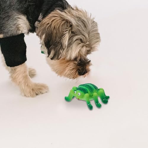 Abaodam Squeaky Latex Dog Toy Small Puppy Teething Chew Toy for Dogs and Cats Spider and Ladybug Figurine Interactive Pet Plaything for Chewers