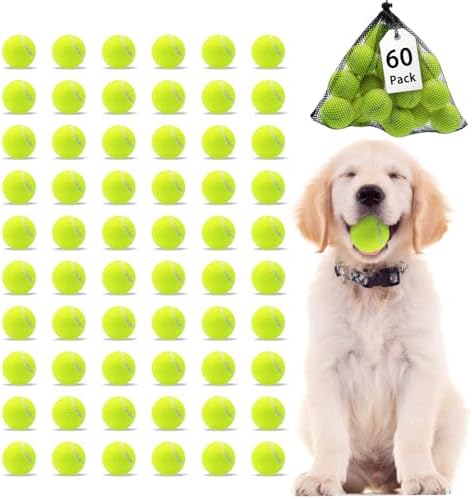 Magicorange Small Tennis Balls, 60 Pack 2 inch Tennis Balls for Dogs