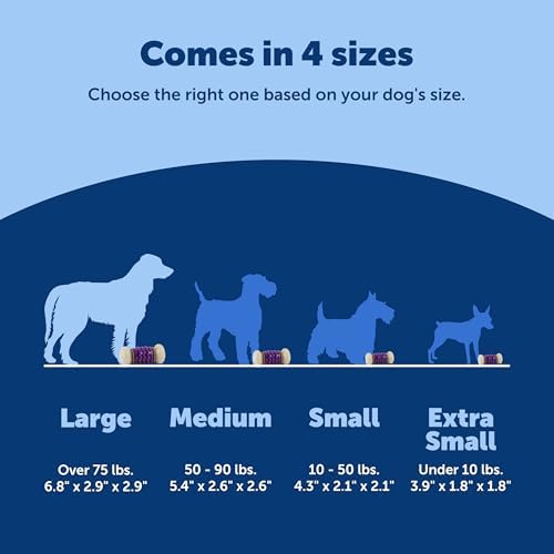 PetSafe Busy Buddy Nobbly Nubbly Treat Holding Dog Chew Toy, Large