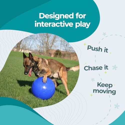 Jolly Pets Push-n-Play Ball Dog Toy, 14 Inches/Extra-Large, Blue (314 BL), for All Breed Sizes