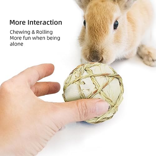 andwe Small Animals Play Balls Rolling Chew Toys, Pack of 4