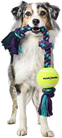 Mammoth Flossy Chews Color 3 Knot Tug w/Standard Tennis Ball – Premium Cotton-Poly Tug Toy for Dogs, Interactive Rope Dog Toy for Medium Dogs - 20” , Multi color