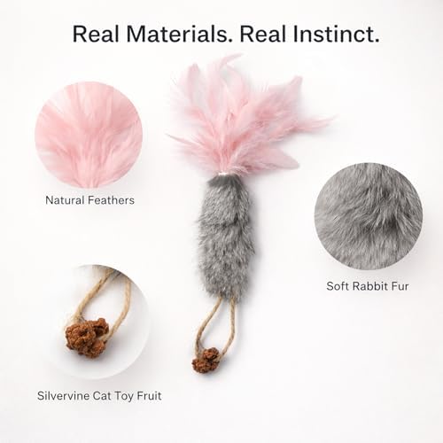 3 Pack Rabbit Fur Catnip Toys with Feathers – Interactive Carrot Cat Toys with Galls Fruit for Indoor Cats and Kittens
