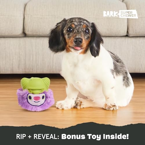 BarkBox Torbert The Troll Dog Toy - for Small Dogs