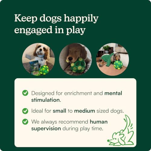 Reggie Snuffle Ball for Dogs | Interactive Treat Dispensing Dog Enrichment Toys | Reduces Boredom, Stress & Hyperactivity | Snuffle Toys for Dogs | Durable & Washable Dog Puzzle Toy I Green
