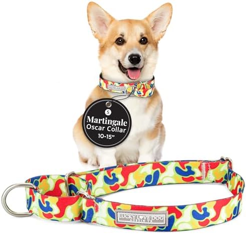Lucky Love Dog Martingale Collar for Small Dogs No Slip Cute – Oscar, Small