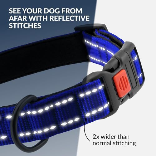 Reflective Dog Collar, Quick-Release Buckle (Blue, 18-26 Inch)