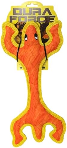 Tuffy® - DuraForce® : 2 Pack Lizard Dog Toy: Ultra Durable Plush Toy with Multiple Layers & Reinforced Seams, Washable and Floats, DuraForce® Construction