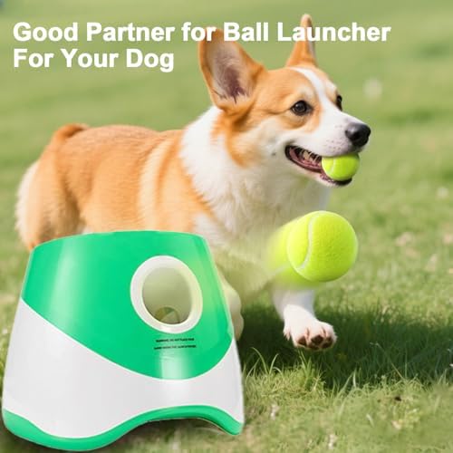 10 Pack 2-Inch Pet Tennis Balls - Interactive Fetch & Training Toys for Indoor Outdoor Play, Dog Balls Suitable only for Small Dogs (Green-02)