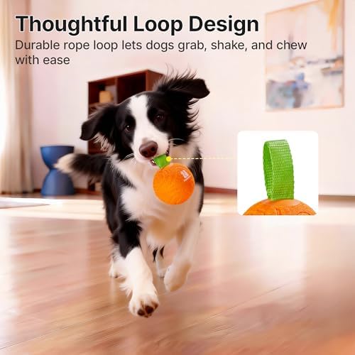 Potaroma Dog Ball with Rope Handle, Motion Activated Bouncing E-TPU Toy