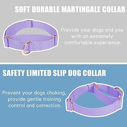 Soft Leather Martingale Dog Collar - Adjustable Rose Gold Limited Slip Collars [Easy to Clean], Stylish Durable Heavy Duty Nylon No Pull Training Collar for Small Medium Large Dogs (XS, Set Purple)