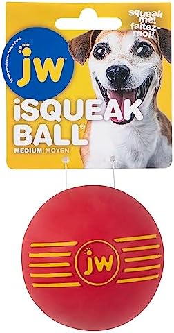 JW iSqueak Ball Durable Natural Rubber Dog Toy (Assorted Colors)