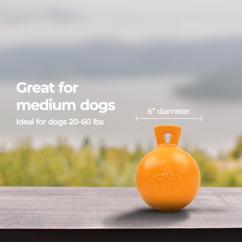 Jolly Pets Tug-n-Toss - Heavy Duty Chew Ball w/ Handle (Orange, 6")
