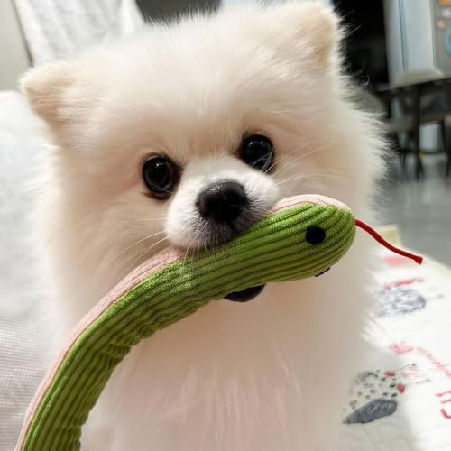 Squeaky Snake Dog Toy, Durable Corduroy Interactive Chew Toy for Small Medium Dogs, Soft Plush Teething Toy for Puppy Boredom Relief