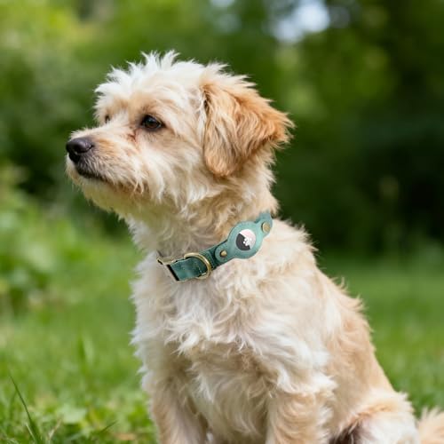 Airtag Dog Collar, PU Leather Collar w Airtag Holder for Small Dogs(Green)