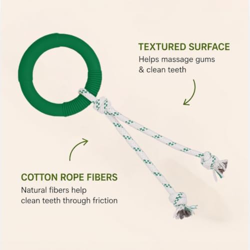 Green Sheep Natural Rubber Dog Chew Toy, Interactive Ring Rope Dog Toy for Tug of War, Durable Dog Toy with Recycled Cotton Rope for Medium to Large Dogs,Green