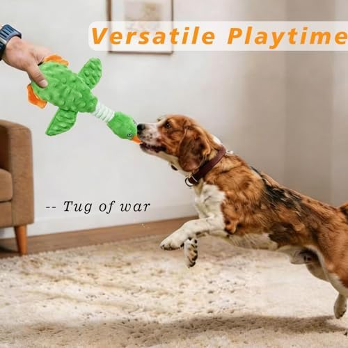 Squeaky Dog Toys for Aggressive Chewers, Durable Stuffed Animal Plush Dog Toy with Soft Fabric for Large, Medium & Small Dogs, Interactive Puppy Chew Toy for Teething, Crinkle Duck Dog Toy - Green