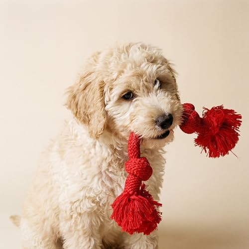 Playology Tug Rope Dog Toys for Medium Dogs - Medium, Beef Scent