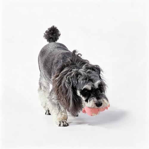 Mikivery Dog Chew Toys Tough Squeaky Latex Toy, for Aggressive Chewers