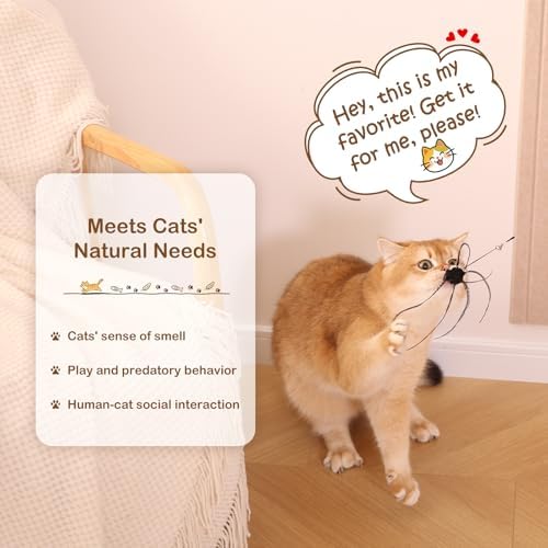 Cat Wand Toy – Retractable Wand with 4 Feather Toy Refills for Indoor Cats Enrichment, Interactive Cat Toy for Bored Adult Cats and High-Energy Kittens (BioBugs Serie 2.0)