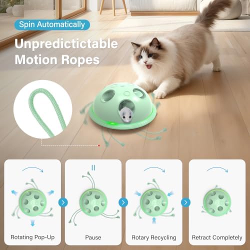 Pawingcat Cat Toys for Bored Indoor Cats Interactive String and Mouse