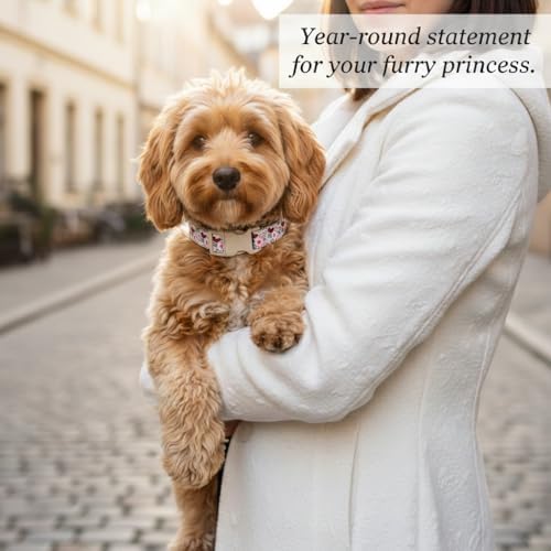 Dog Collar for Small Female Dogs - Soft Adjustable Puppy Collar with Cute Pink Red Heart Pattern, Stylish Girl Dog Collar for Daily Walking & Photo Shoots, Fits Puppies and Small Breeds